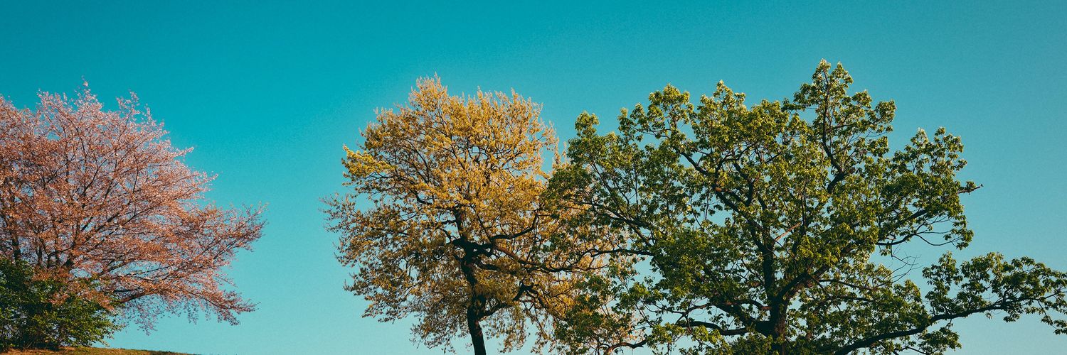 SagiiBliss_ banner