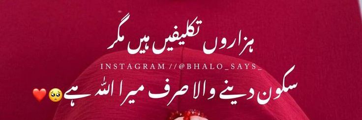 زیــــــــــZ𝗮𝗶𝗻𝗮𝗯ـــــــــنب banner