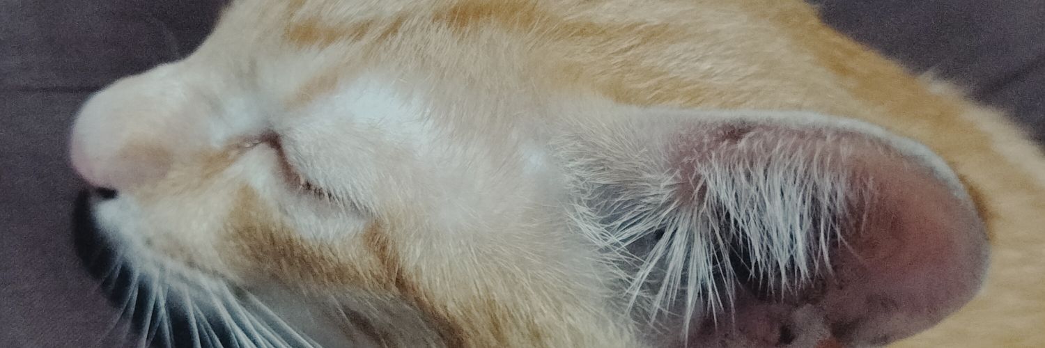 fuminarii's profile banner image