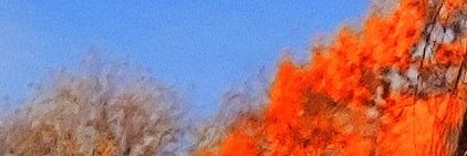 notnikasin's profile banner image