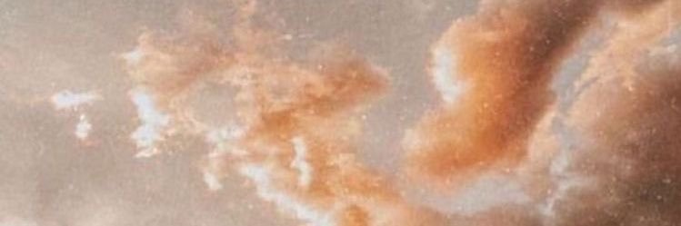 logan taylor banner