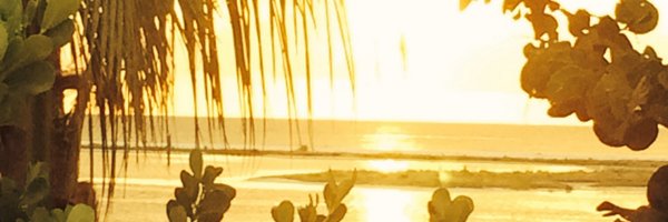 tipachou Profile Banner