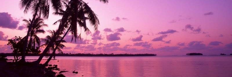 Canan Mature c.d banner