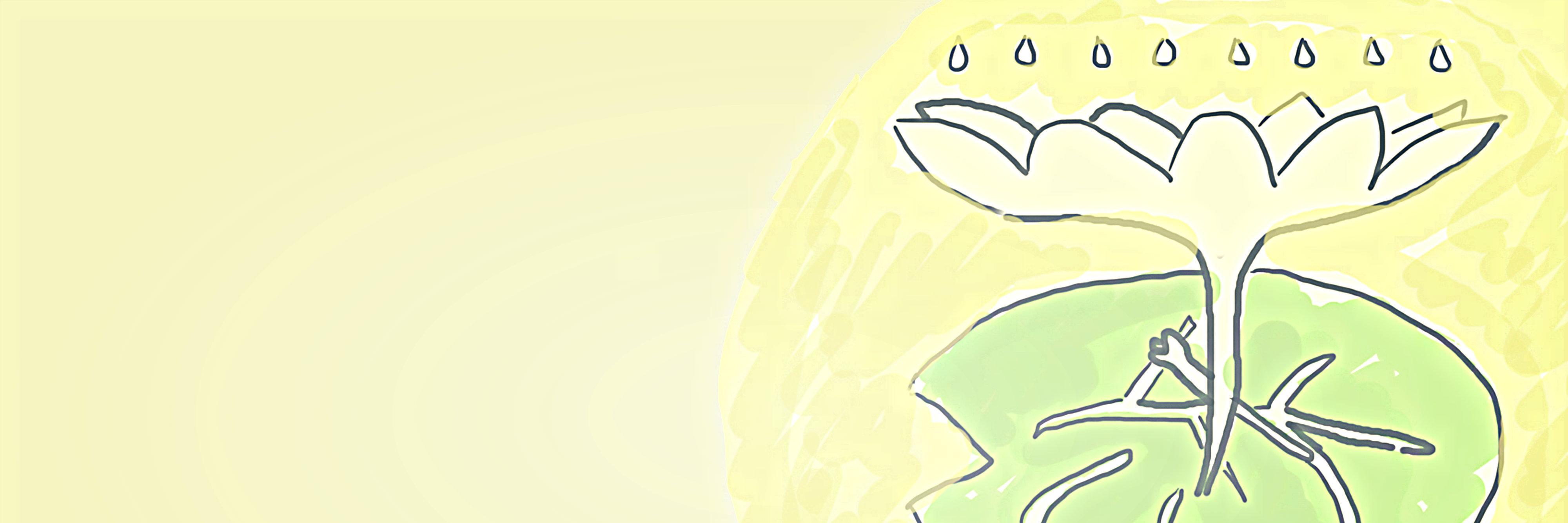 HIMABIO NYMPHAEA banner