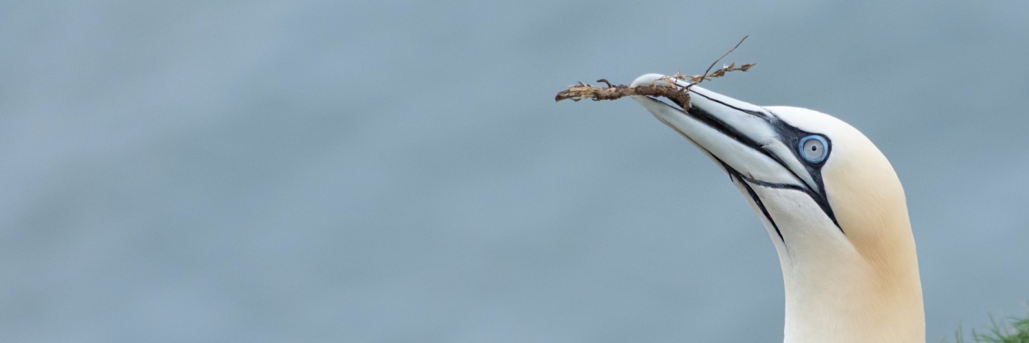 Leanne Hunter banner