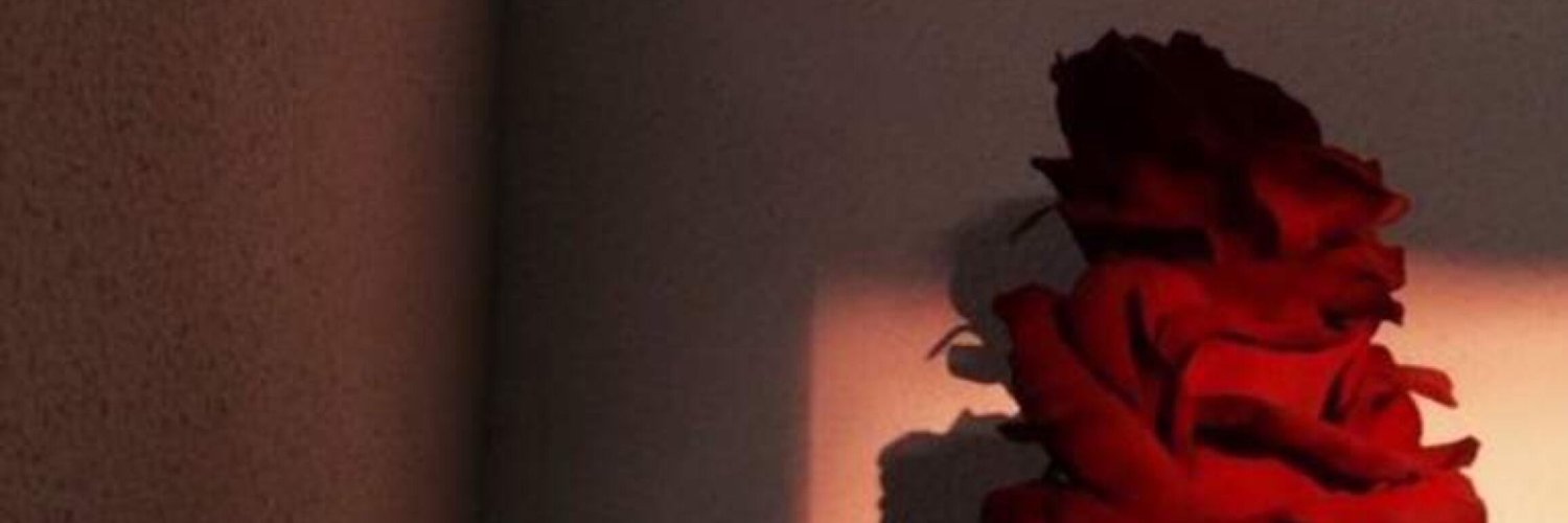 claudiasalsa_'s profile banner image