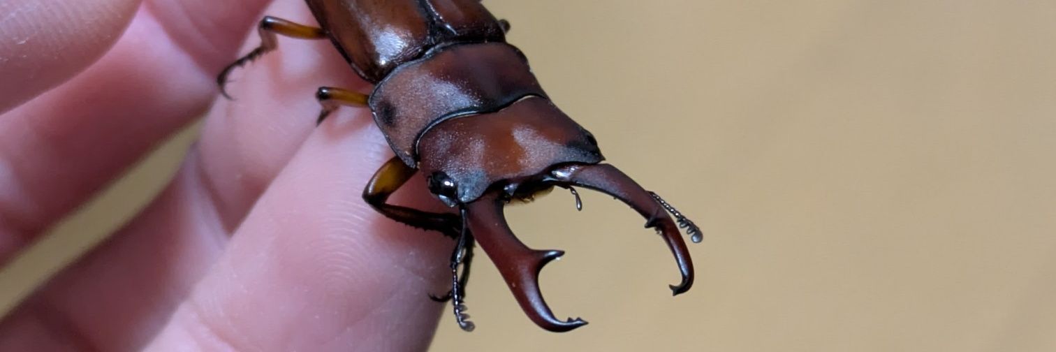 おしゃち🫍(雑多垢) banner