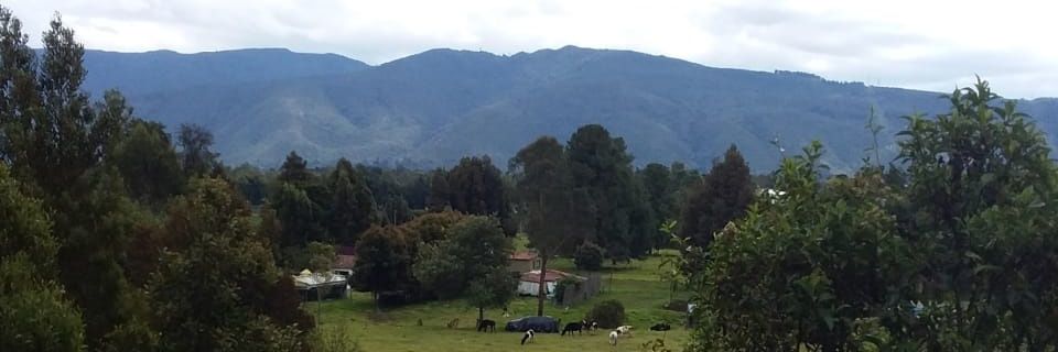 uligra's profile banner image
