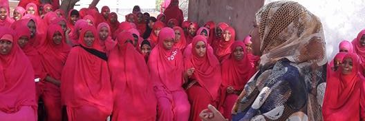 Batula Hassan Abdi,PhD banner