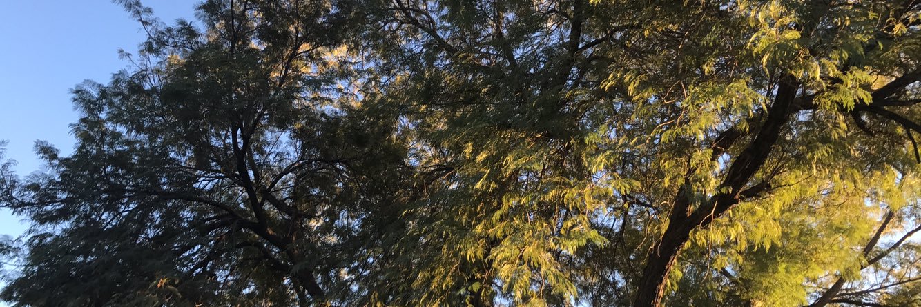 sholden5's profile banner image