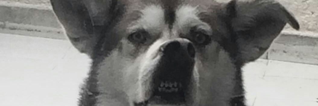 alexgon93's profile banner image