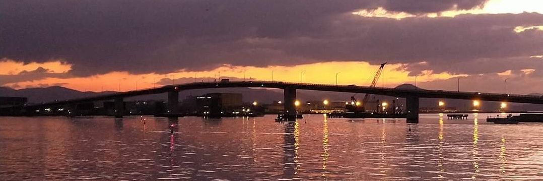 偽娘まいな(低浮上、すぐ疲れる) banner