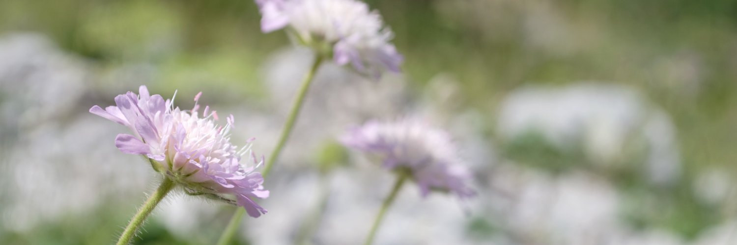 Historia naturalis bulgarica banner