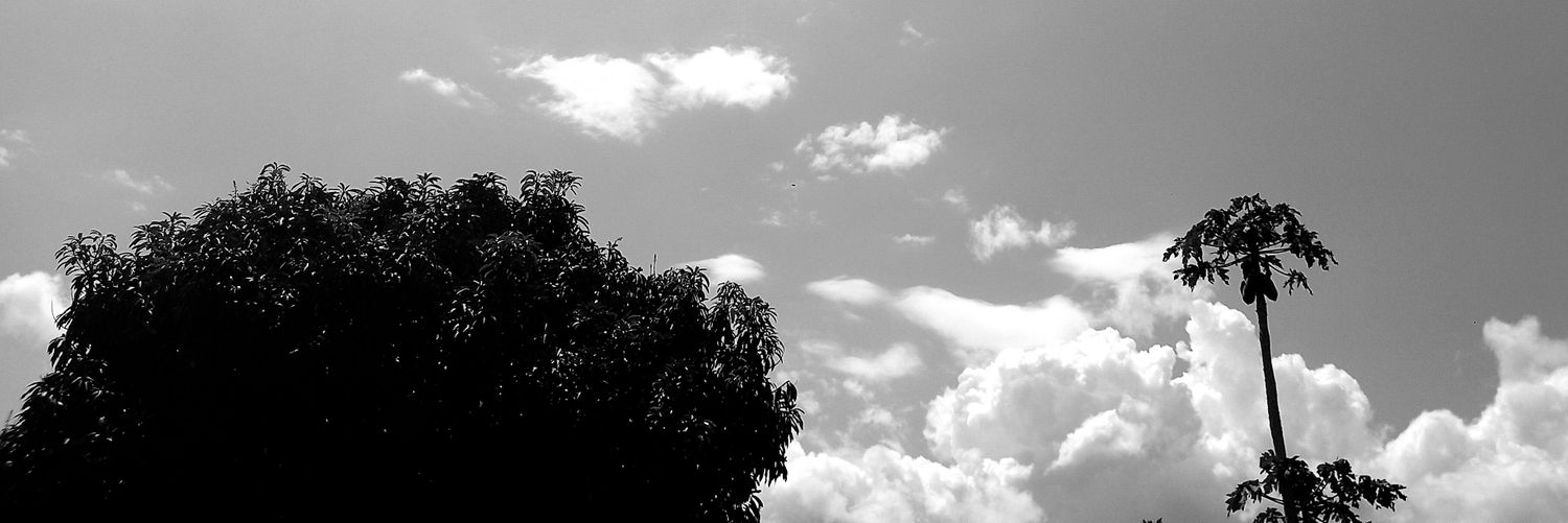 BrendaAtwoo's profile banner image