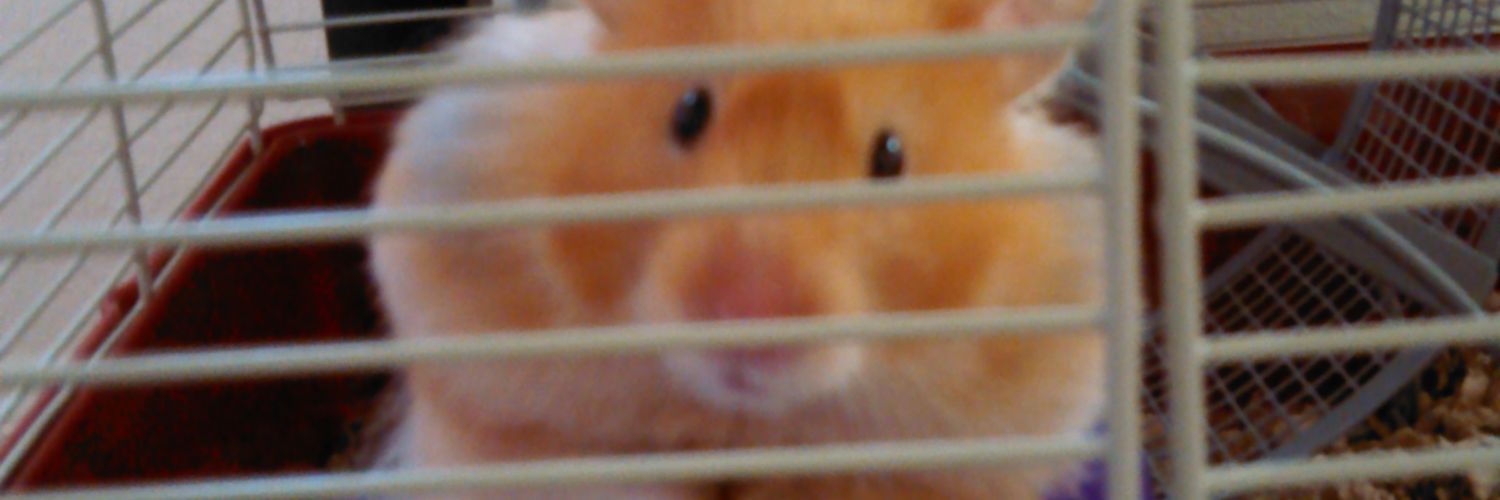 miccah_bink's profile banner image
