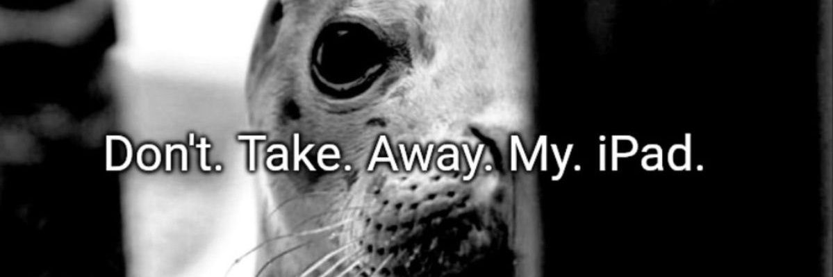 (◜ᴗ◝ )♥︎ banner