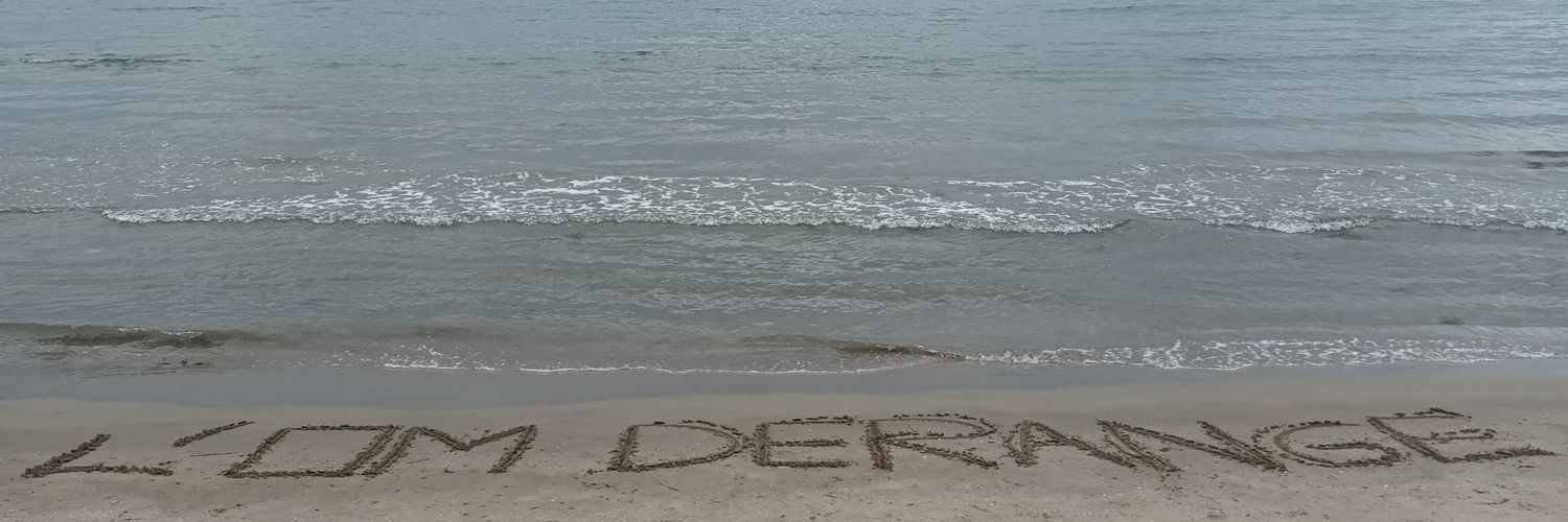 L'OM DÉRANGE banner
