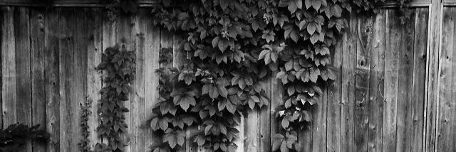 andifink's profile banner image