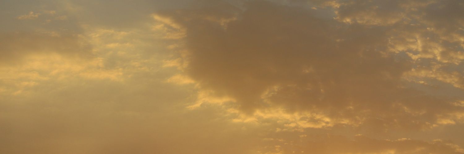 ShanuVampire's profile banner image