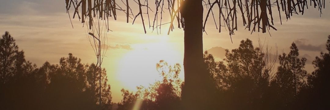 Dmrkl16's profile banner image