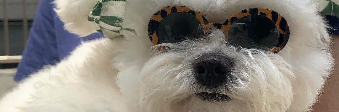 theroxanemae's profile banner image