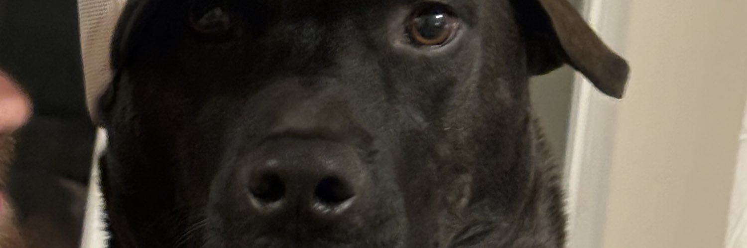 Jaxx banner