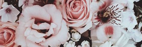 JennaLongmiree's profile banner image