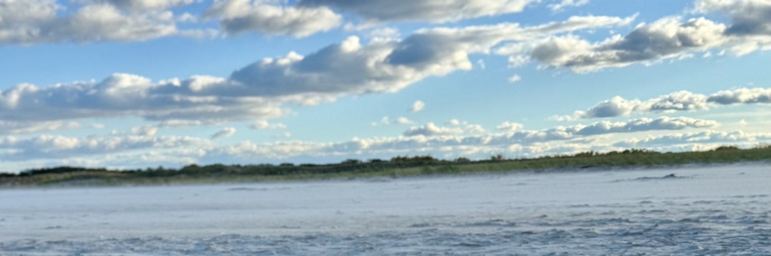 chalivdel's profile banner image