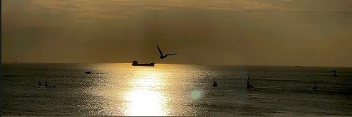 Cathy 🇭🇺 🤍Engin Akyürek🤍 banner