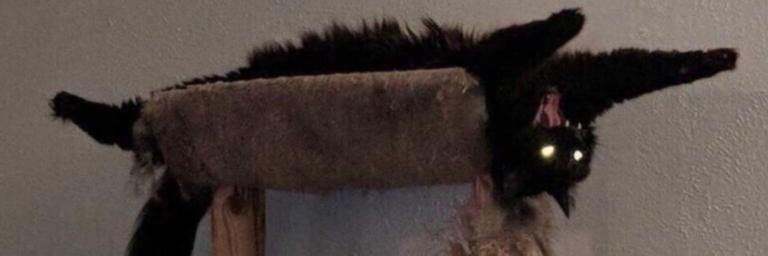 xlaucifer's profile banner image