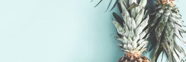 Pineapple Punk banner