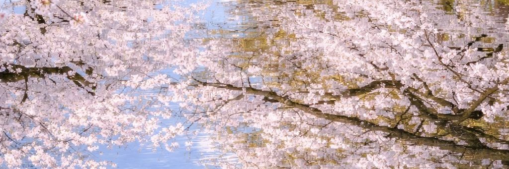 miriko0708's profile banner image