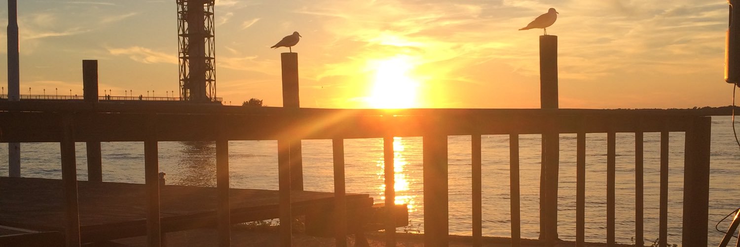 Cdog_22's profile banner image