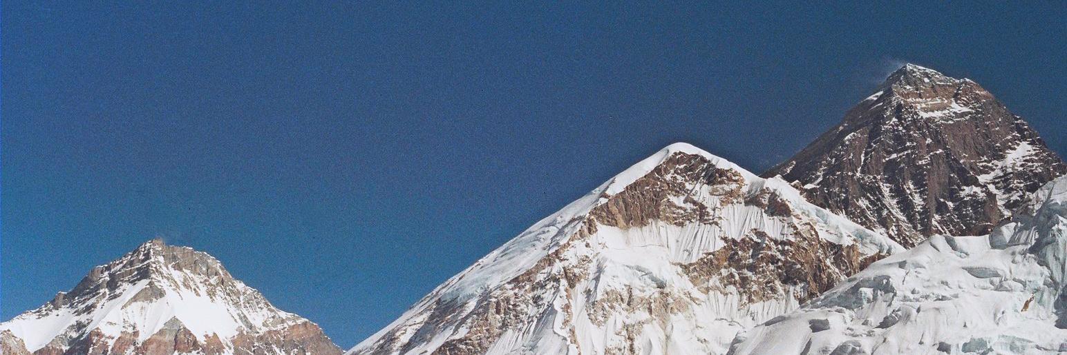 David A. Torres banner