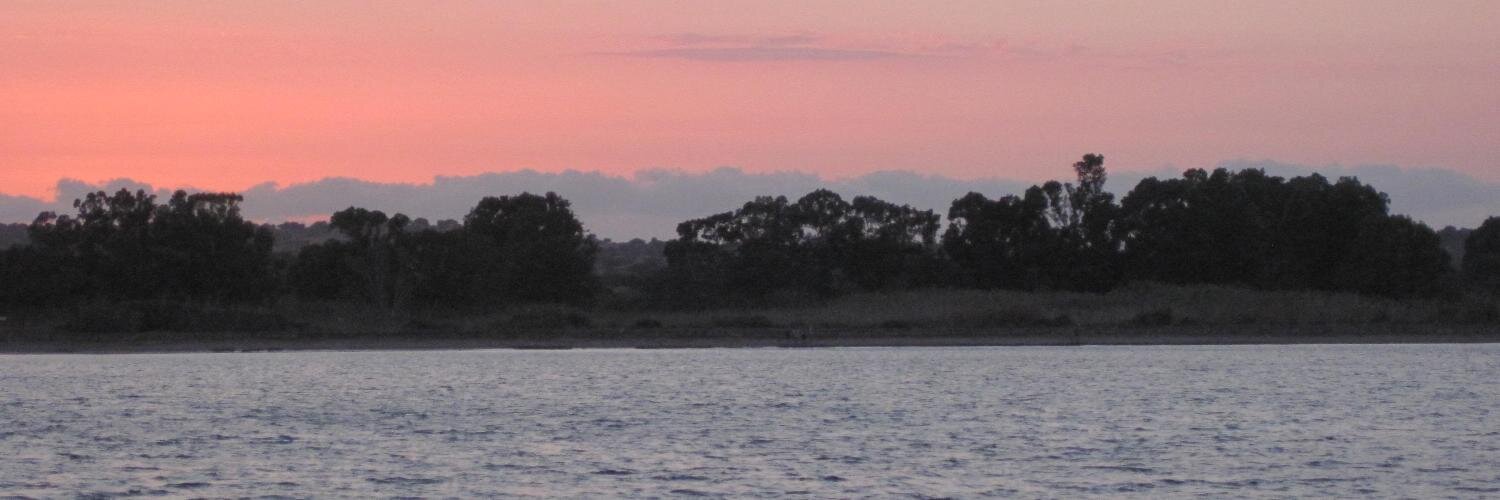 MarinellaGS's profile banner image