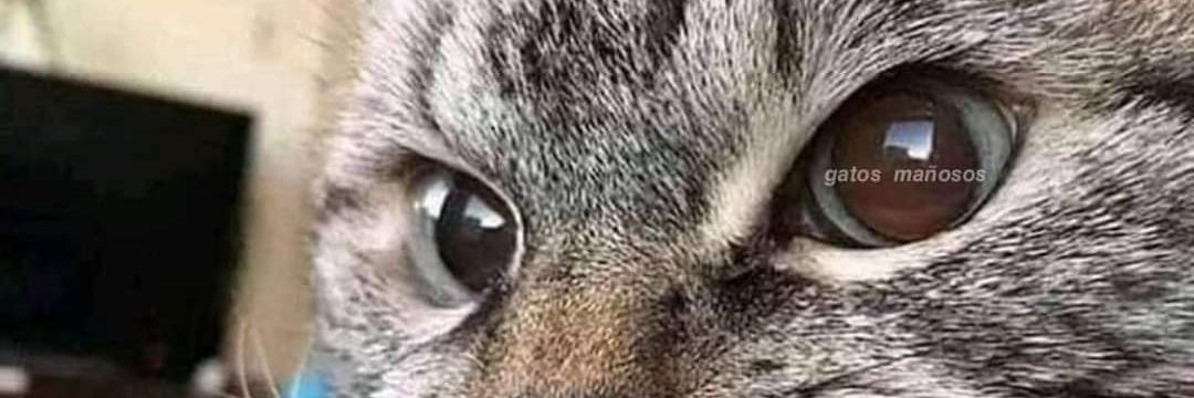 Alexa420hot's profile banner image