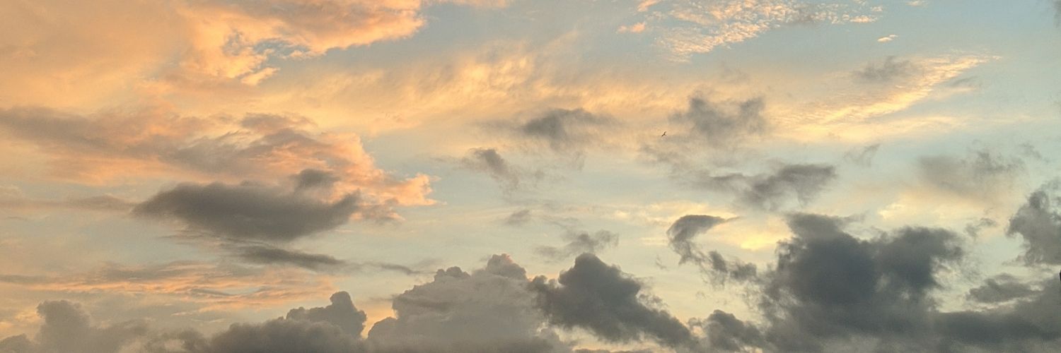 crispiecreep's profile banner image