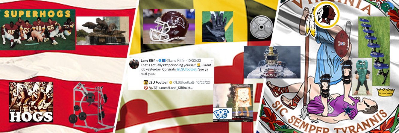 DM(V) Fan's banner