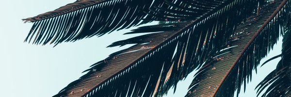 NeusAlberich Profile Banner
