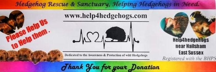 Help4hedgehogs banner