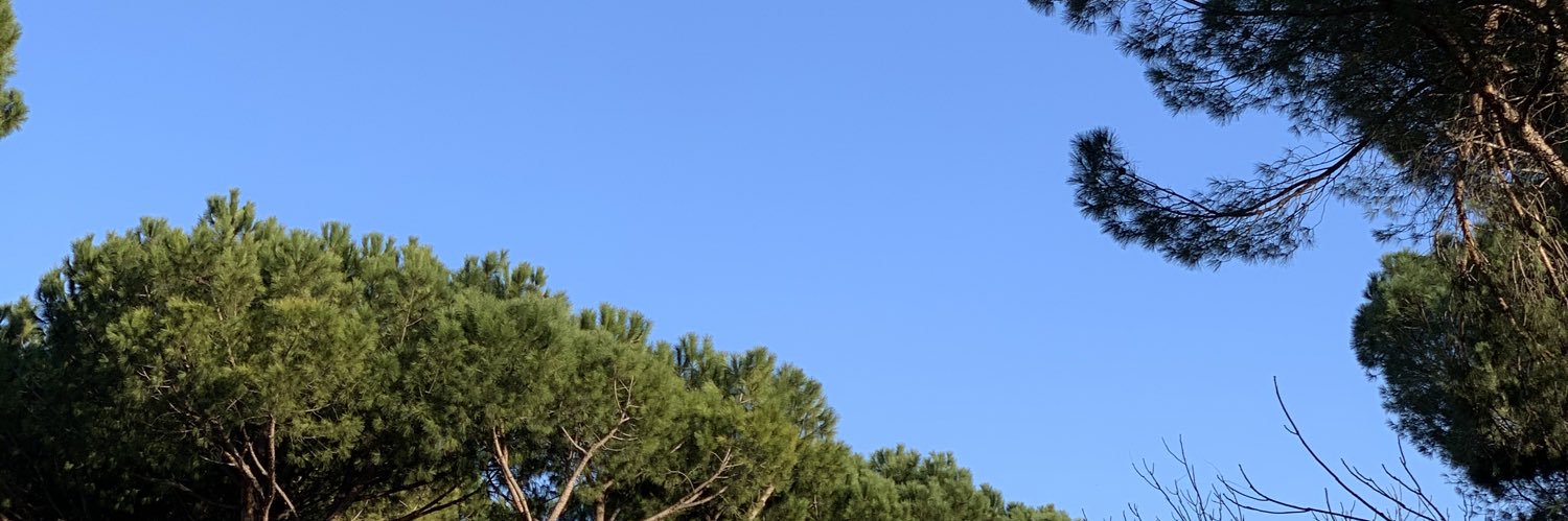 FerrGior's profile banner image