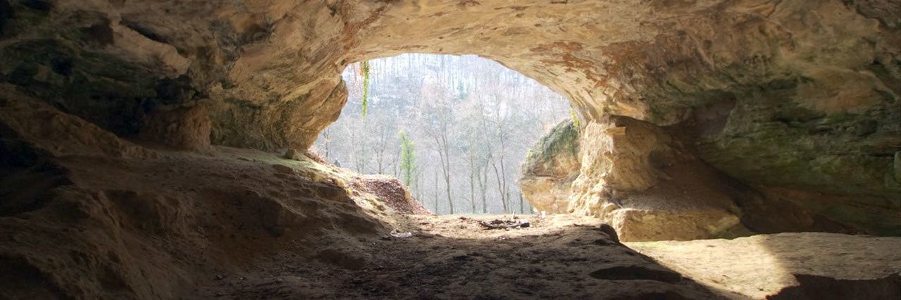 Nervous Neanderthal banner