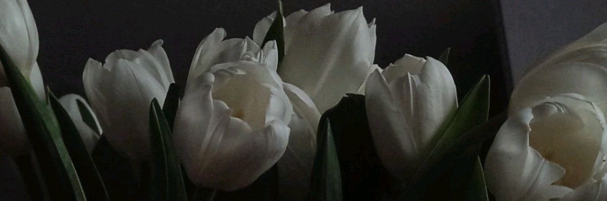 halzaayed's profile banner image