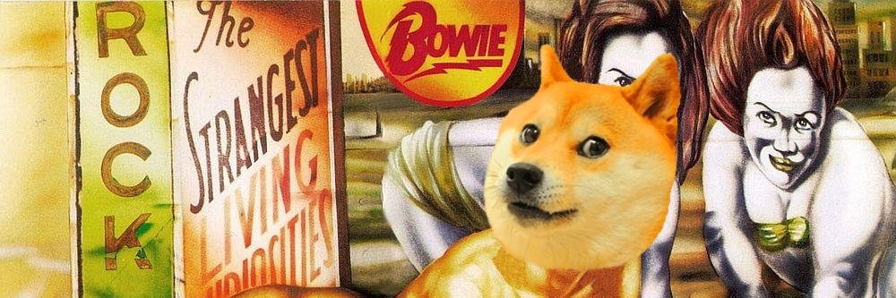 DiamondDogez's profile banner image