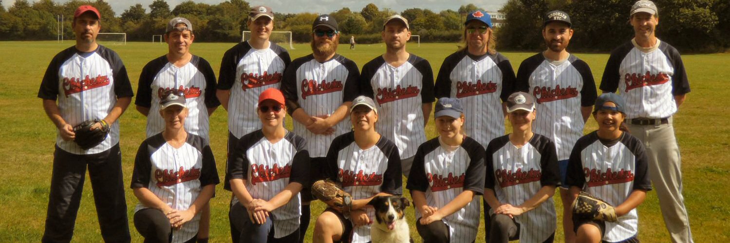 Chichester Falcons banner