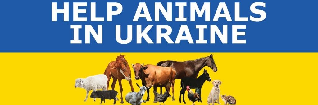 Shannon🇺🇲💙 banner