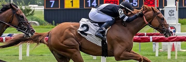 Ismerio Villalobos banner
