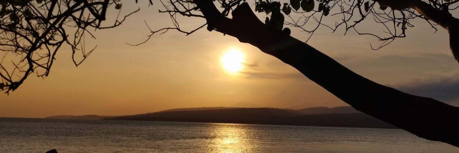 syafiqrhmt_'s profile banner image