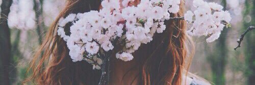 miho_aaa6's profile banner image
