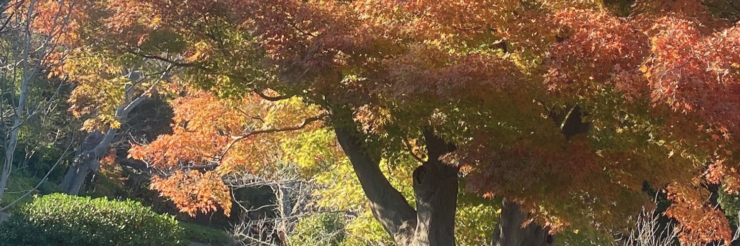 umakasu114's profile banner image